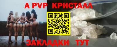 шишки Тверь