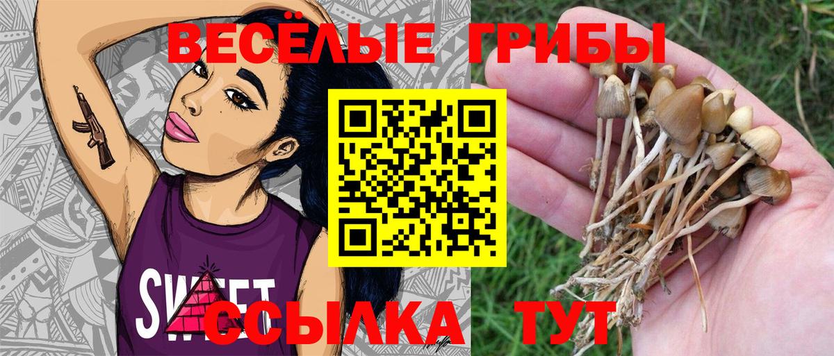 Галлюциногенные грибы ЛСД Надым